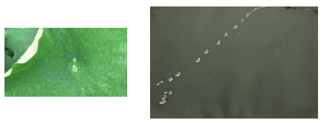 悟空体育医用纺织